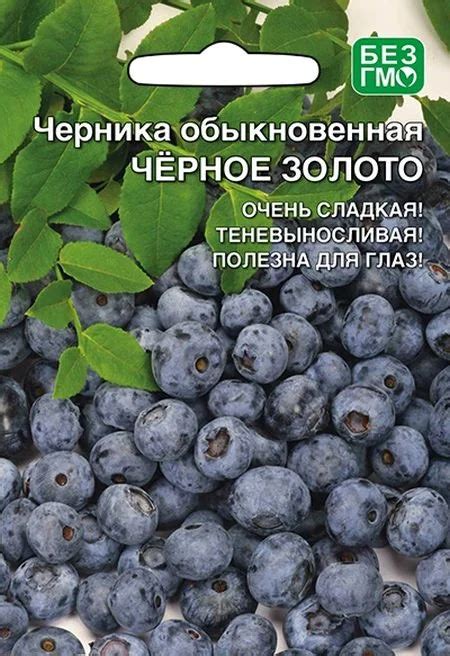 Семена Черника Черное Золото: описание сорта, фото - купить с доставкой ...
