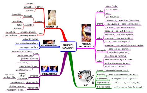 Mapa Mental Dos Primeiros Socorros