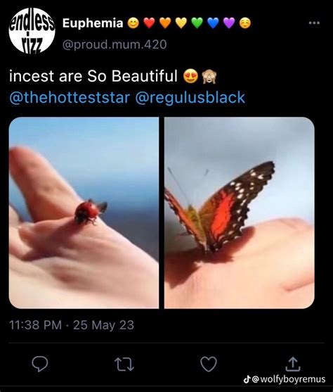 Marauders Era Tweets Wolfyboyremus On Tiktok The Marauders Marauders Era Gay Harry Potter