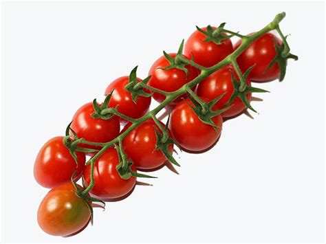 Cherryrispentomaten Ardilles - Tomaten