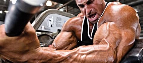 super set bicep triceps dual combo  bicep tricep  super