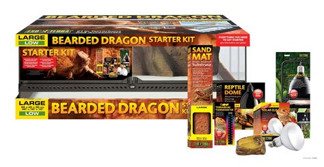 Bearded Dragon Starter Kit • Cornels World