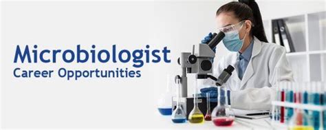 Role of Microbiologist - A Detailed Outline for Career Planning