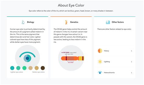 The New 23andme Experience A Look At Our Trait Reports 23andme Blog