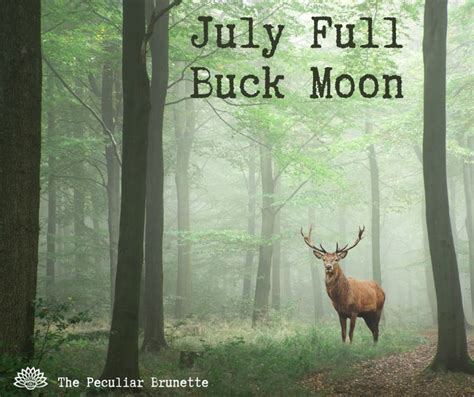 July Full Buck Moon Spiritual Meaning Ritual And How To Celebrate