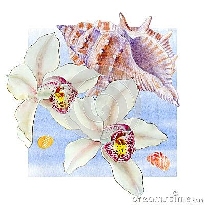 Watercolor Set Of Seashell And Orchid On Wave On White Background For