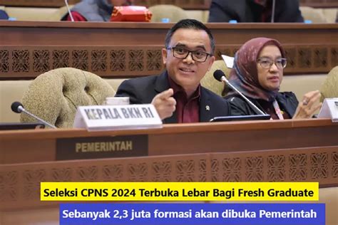 Seleksi CPNS 2024 Terbuka Lebar Bagi Fresh Graduate Sebanyak 2 3 Juta