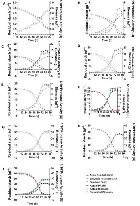 Time Profile Of Biomass Substrate And Protease Production In Batch