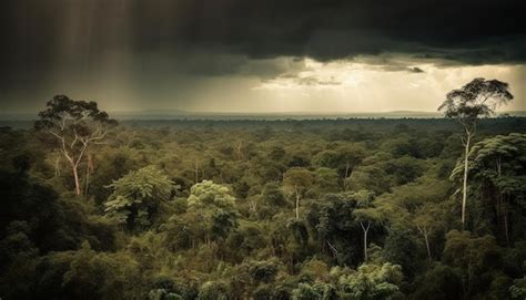 Puesta De Sol Tranquila Sobre La Selva Tropical Sin Gente Generada Por