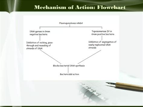 Fluoroquinolones | POT