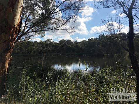Laratinga Wetlands | Walking SA