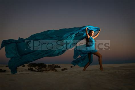 Pro Star Pics Fine Art Nude Shoots D