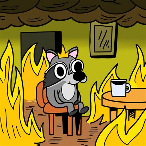 This Is Fine Raccoon Edition : r/UCSD