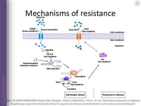 Quinolones | drug develoupment | mechanism of action | future