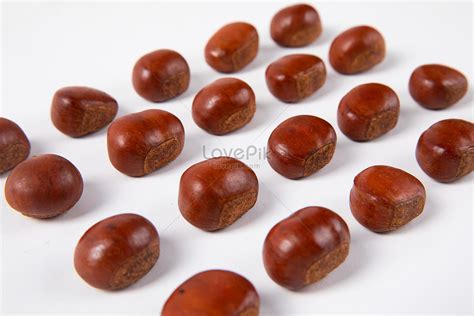 Chestnut Chestnut Picture And HD Photos | Free Download On Lovepik