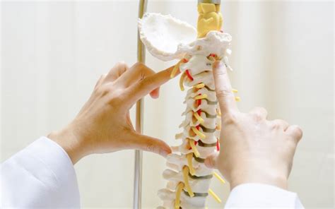 facts  spinal cord injury paradigm