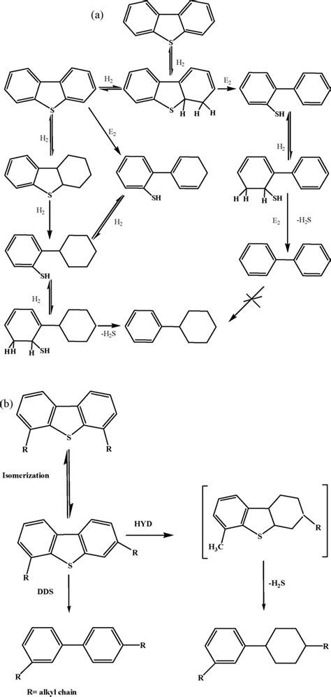 A The Various Steps Of The Hds Of Dbt Through The Hyd And Dds Download Scientific Diagram