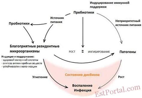 Пробиотики и пребиотики. «Биологическая» косметика