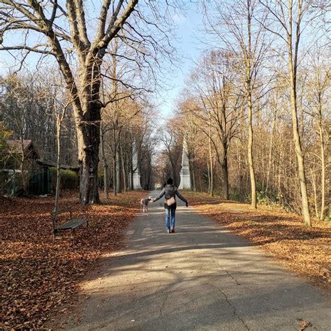 Öffi Touren mit Stadtwanderweg Bahn zum Berg