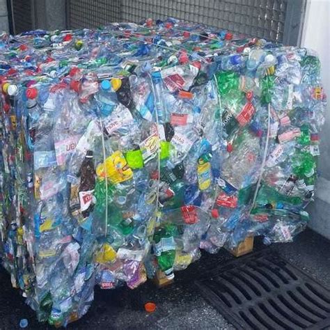 Various Colors Are Available Pet Bottle Scrap At Best Price In