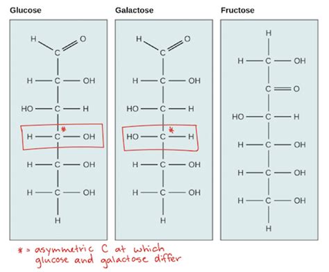 Monosaccharides Carbohydrates Mcat Content