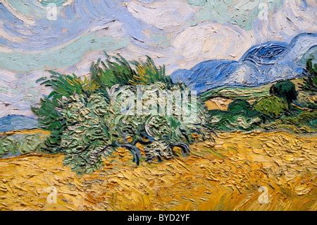 Detail Weizenfeld Mit Zypressen 1889 Von Vincent Van Gogh