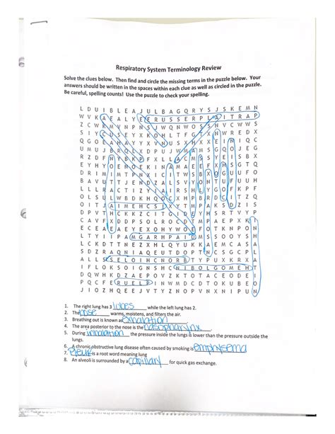 Nervous System Review Guide Crossword Puzzle Answers 2