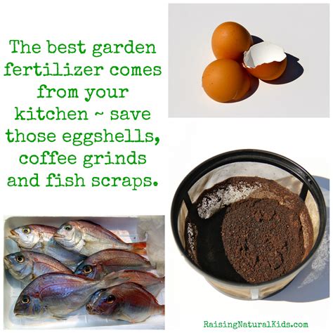 DIY Organic Garden Fertilizer - Raising Natural Kids