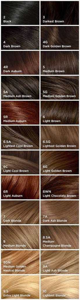 Ihairstyles Ash Brown Hair Color Chart Loreal Brown Hair Color 3