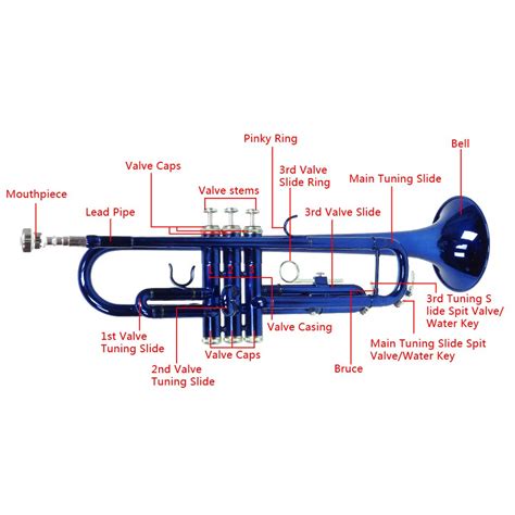 Trumpet Diagram With Labels