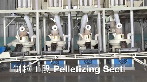 Rotex Master Complete Biomass Wood Pellet Production Line Youtube