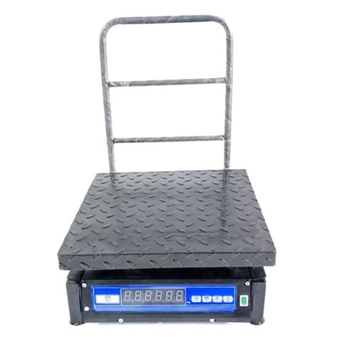 Portable Platform Weighing Scale At Inr In Raipur Savar