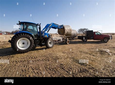 New Holland T6030 Tractor Loading Trailer With Round Bales Of Hay With