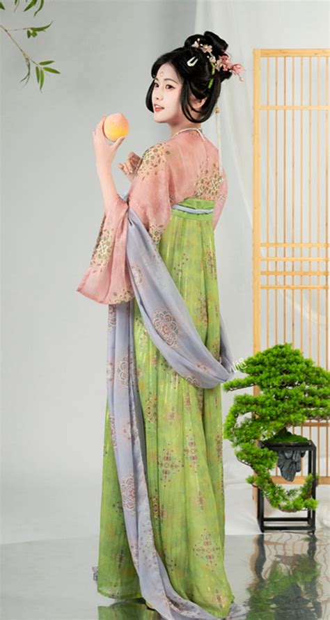 Chinese Traditiona Clothing Late Tang Dynasty Hanfu Dress Female