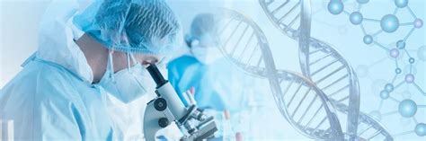 6 áreas da Biomedicina em que o profissional pode atuar - Imagem - 6 ...