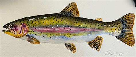 Watercolor Rainbow Trout - Etsy