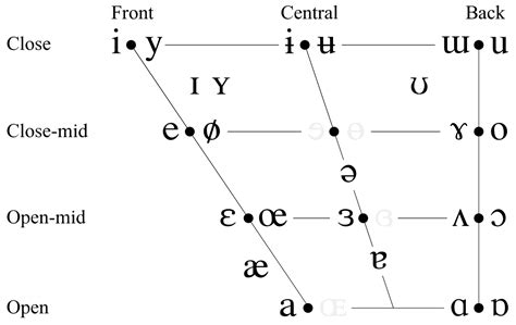 With [ɵ] Out Of The Way The Close Mid Central Vowels Are The First Pair To Be Eradicated Round