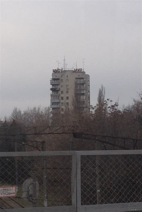 Миру Мир | Пикабу