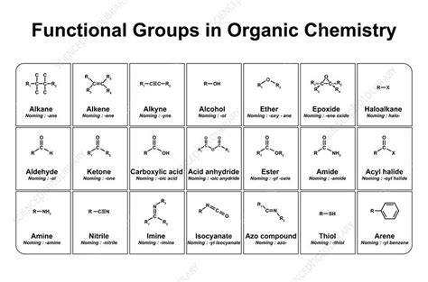 Functional Groups In Organic Chemistry Illustration Stock Image