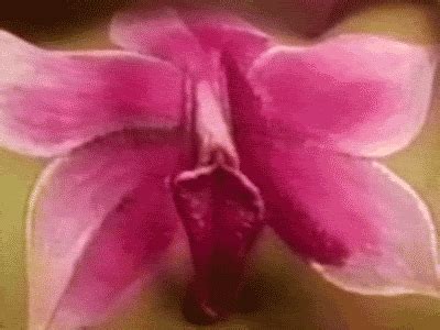 My Hot Collection Bdsmlr E W NQpx Porn Pic