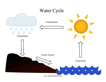 How Are Evaporation and Condensation Similar