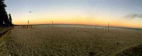 P Sherman 42 Wallaby Way Sydney NSW is seeing a massive surge in fans 21