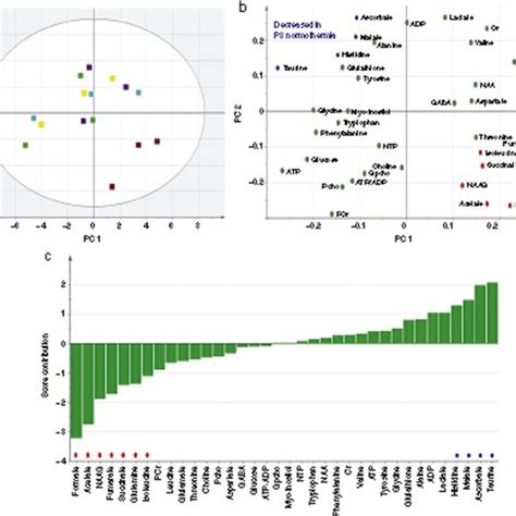 Principal Component Analysis Pca Scores And Loadings Plots For 18