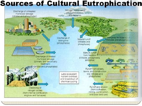 Water Pollution Examples of Polluted Waters WATER POLLUTION