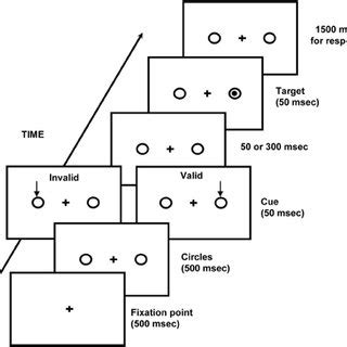 schematic representation   display    visual temporal