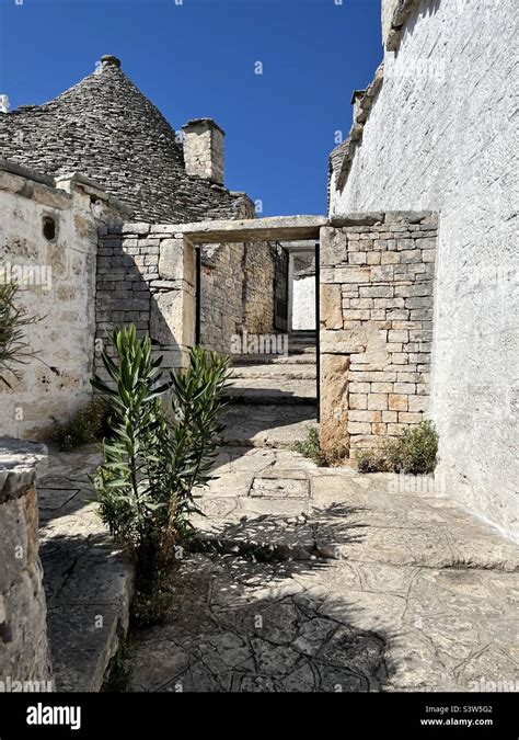 Italy Alberobello Puglia Travel Photo Instafriendly Nature