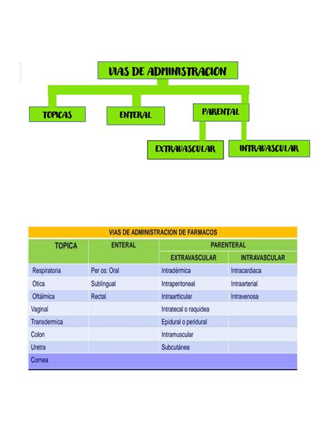 SOLUTION Vias Administracion De Farmacos Studypool