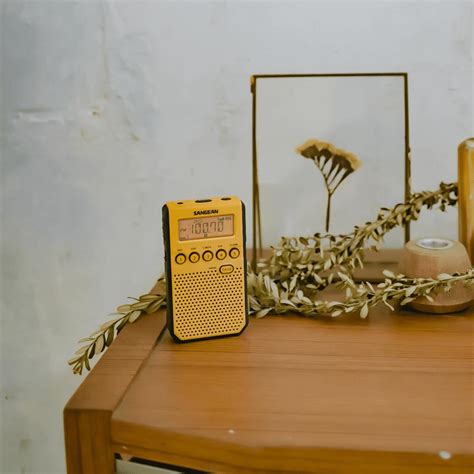 DT-800 AM / FM Rechargeable Pocket Radio│SANGEAN Electronics