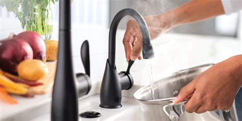 InSinkErator Indulge Modern Instant Hot Water Dispenser Reviews Wayfair Canada