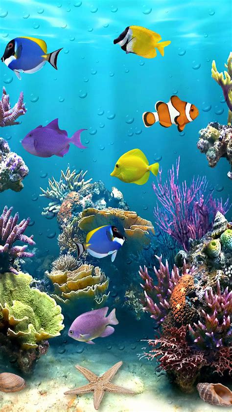 fish wallpaper background